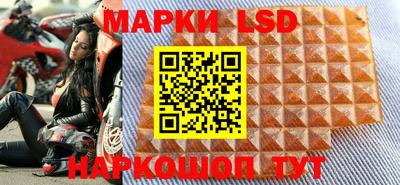 mdpv Заводоуковск
