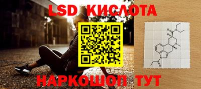 PSILOCYBIN Заволжье