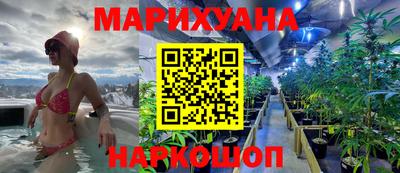 сатива Жуковский