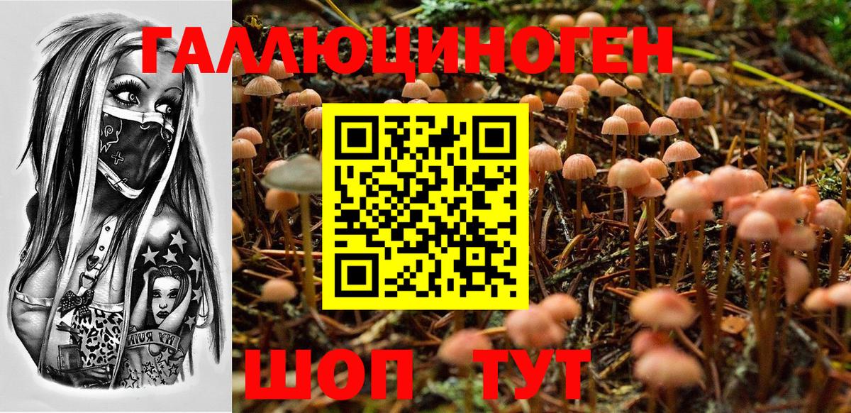 Галлюциногенные грибы GOLDEN TEACHER Майский