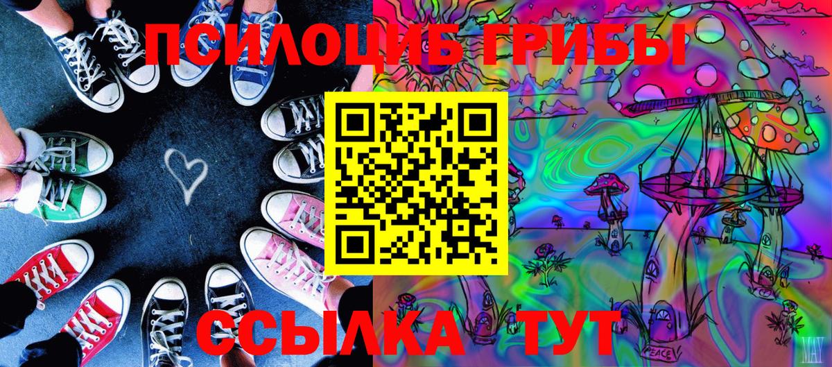 Галлюциногенные грибы мицелий  купить наркотик  Майский  Вход с VPN 